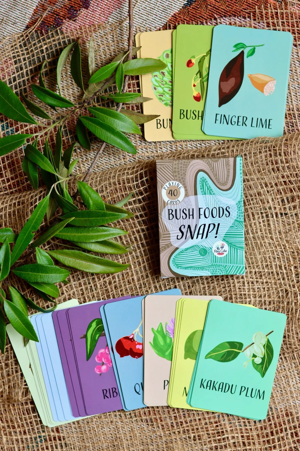Bush Food Snap Cards