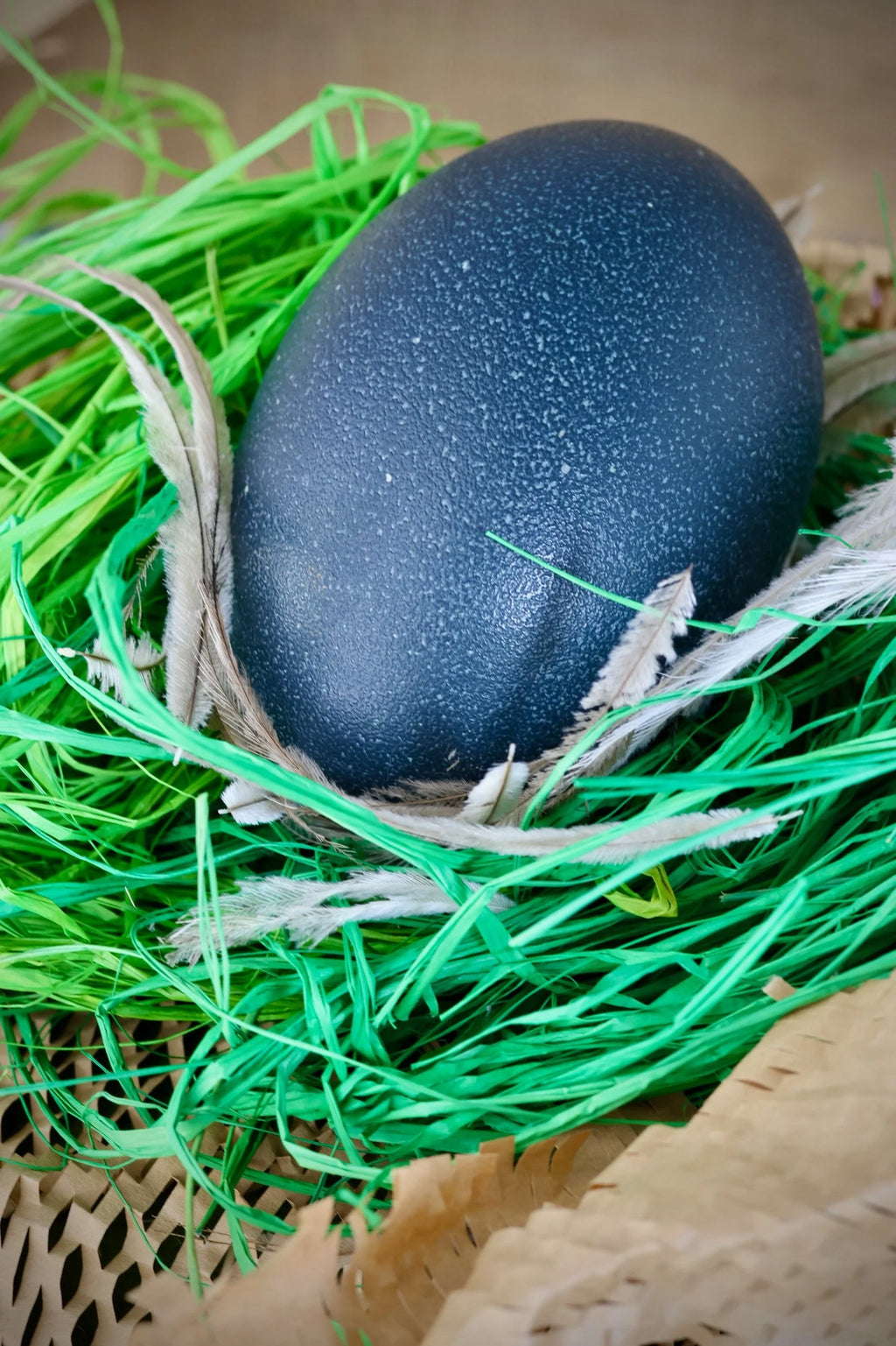 Emu Egg - Blown product image 2