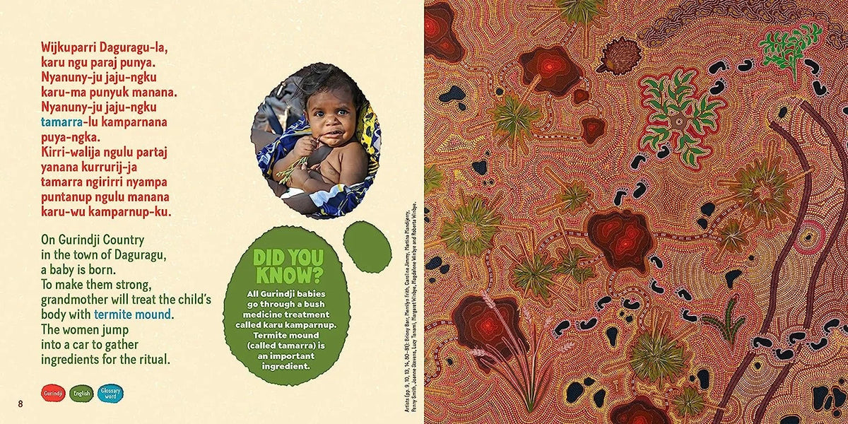 Tamarra: A Story of Termites on Gurindji Country product image 3