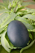 Emu Egg - Blown