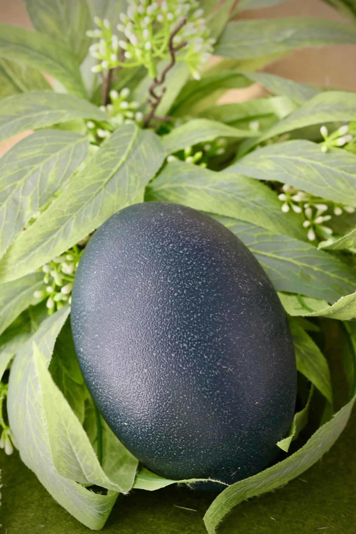 Emu Egg - Blown