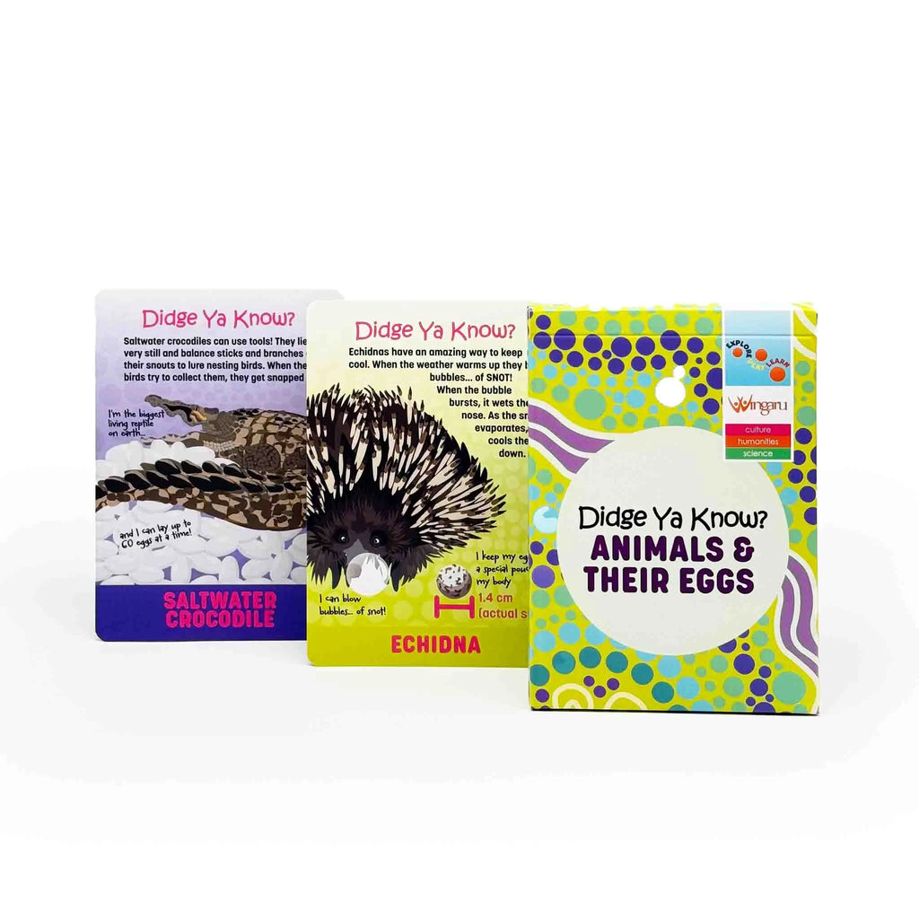 Didge Ya Know? Animals and their Eggs Information Cards product image 3