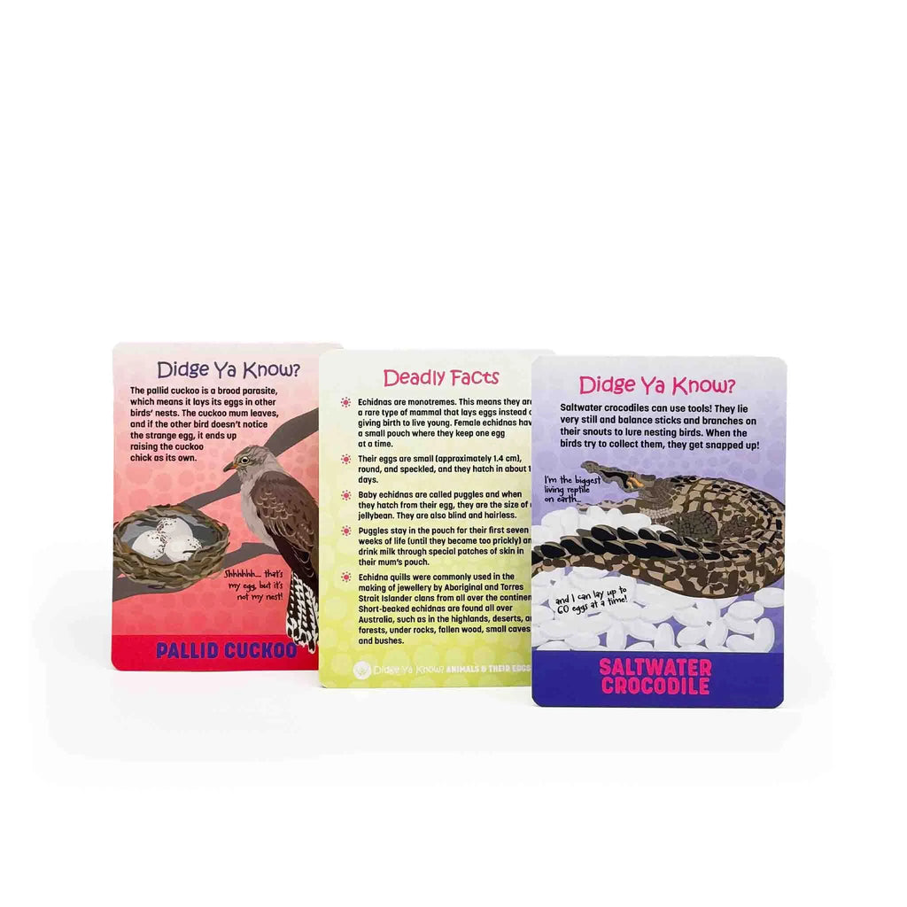 Didge Ya Know? Animals and their Eggs Information Cards product image 2