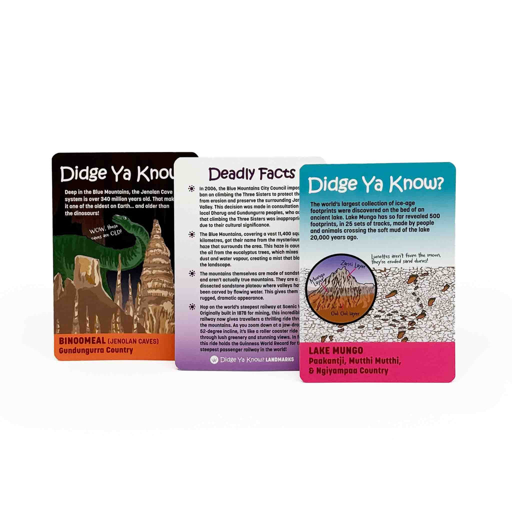 Didge Ya Know? Landmarks Information Cards product image 3