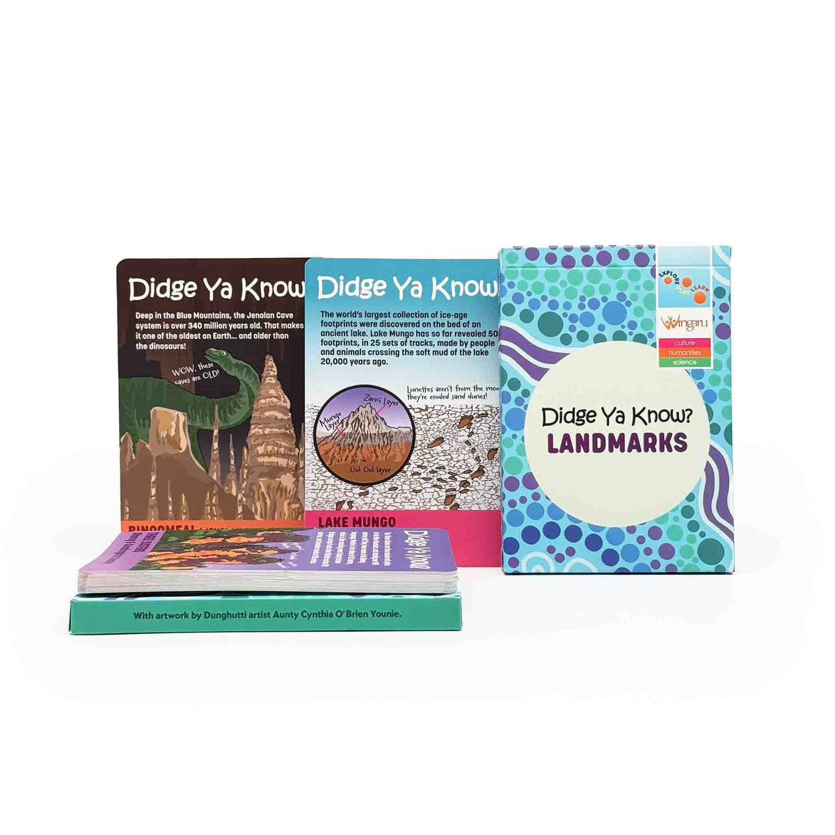 Didge Ya Know? Landmarks Information Cards product image 2