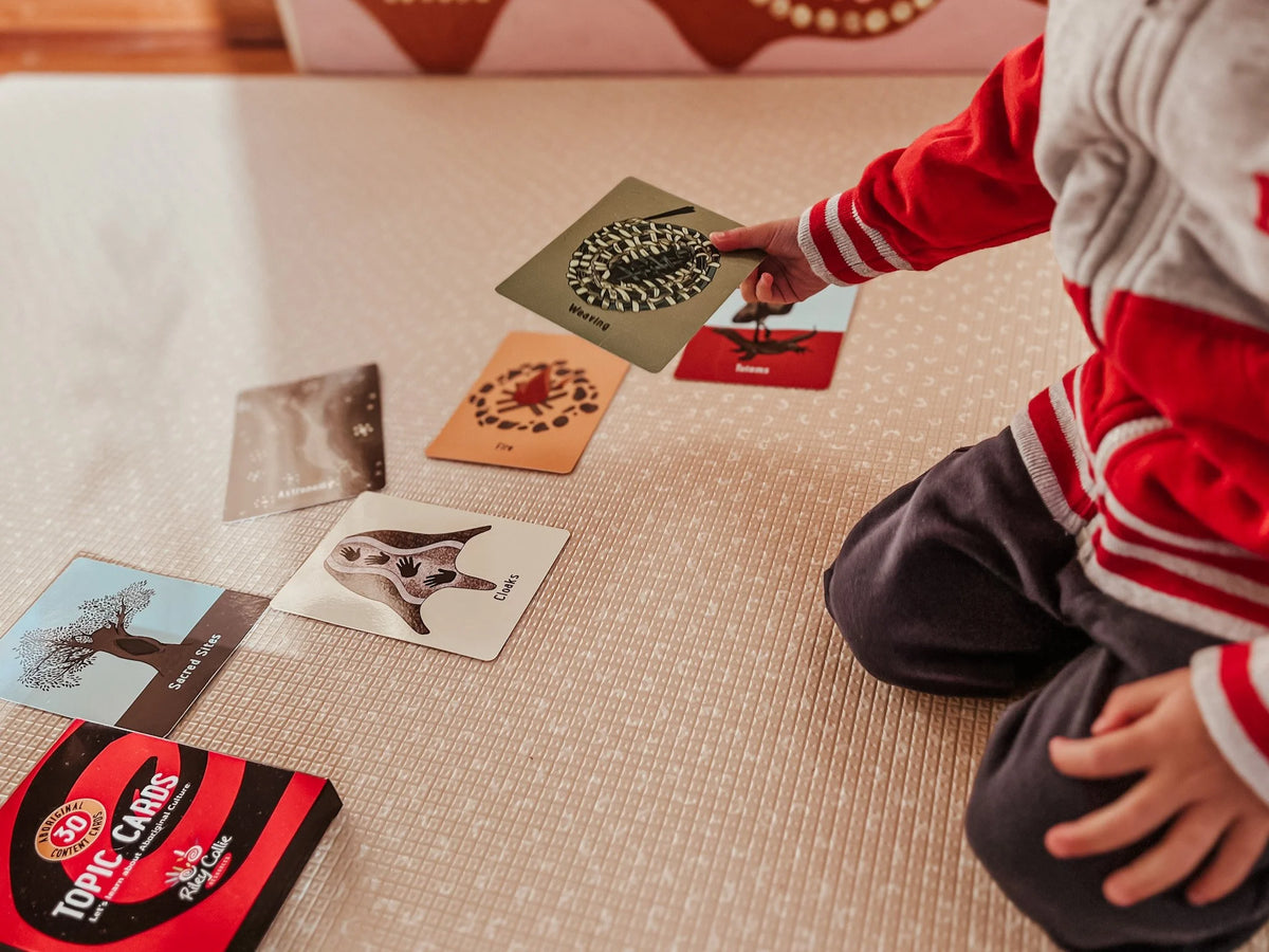 Aboriginal Topic Cards product image 7