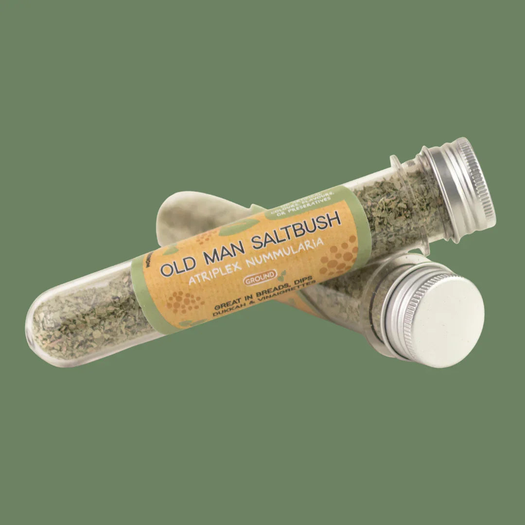 Old Man Salt Bush Ground