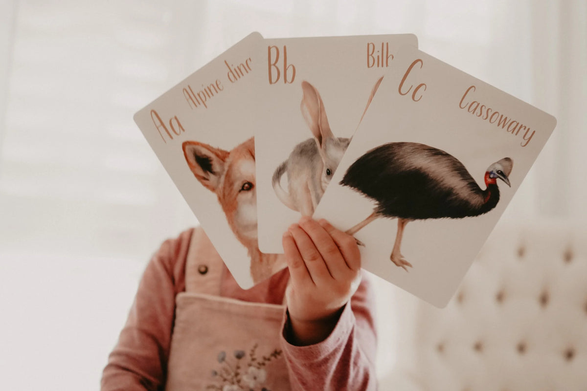 Australian Animal Alphabet Flash Cards product image 4