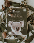 Australian Animal Alphabet Flash Cards