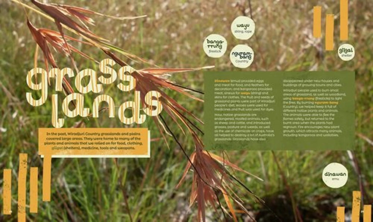 Wiradjuri Country product image 2