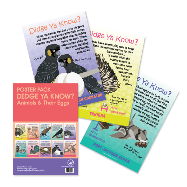 Didge Ya Know? Animals and their Eggs A4 Poster Pack